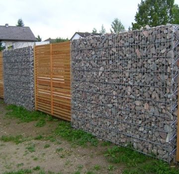 large_2037980313a2e7b